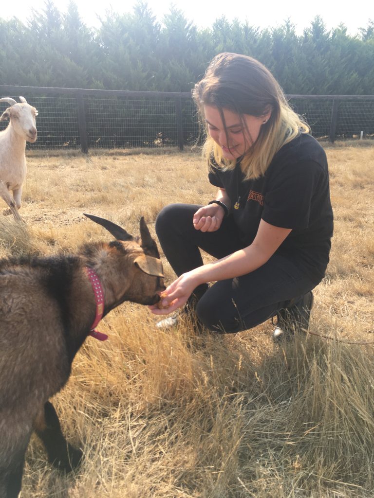 Woman kneeling in grass petting a goat